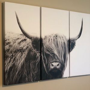 Highland Cow Wall Art / Canvas 3 piece set